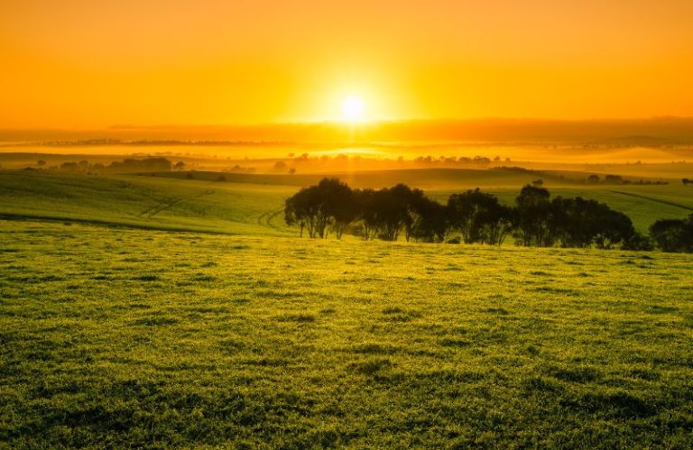 Slika-blog 4- 800x520 piksela-livada u sumrak